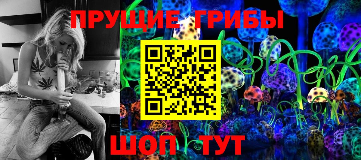 Псилоцибиновые грибы Psilocybine cubensis Печора